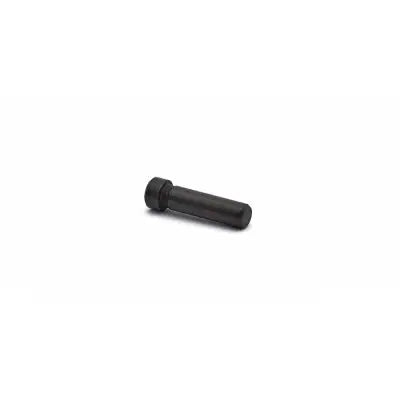 CZ 75 SP-01 / Shadow2 / TS Hammer Pin